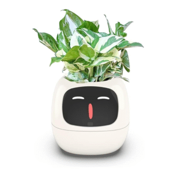 Smart Planter
